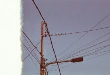 immediate support line available
