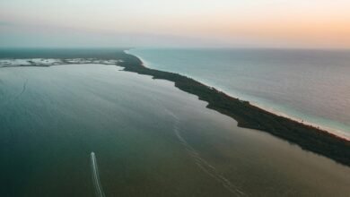 zixyurevay safety concerns overview