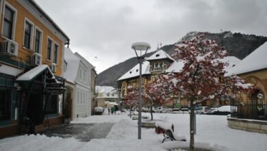 business landscape evaluation report