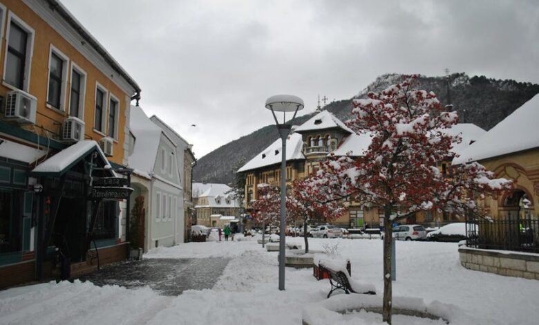 business landscape evaluation report