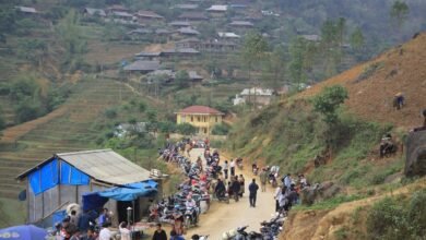 commercial landscape analysis report