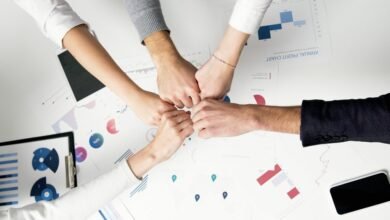 enterprise sector dynamics report