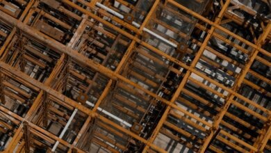 loyalty engagement growth strategy