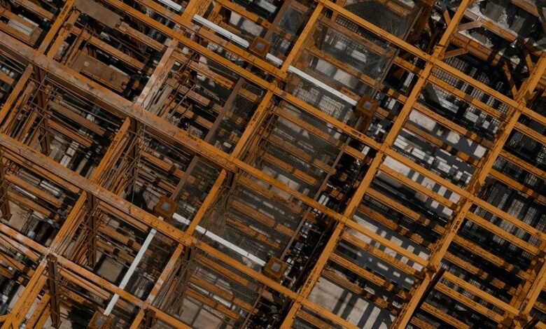 loyalty engagement growth strategy