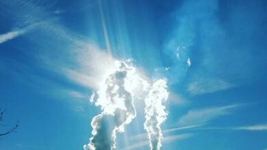 online visibility impact planner