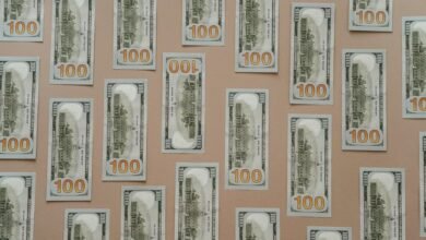 profit revenue stability analysis