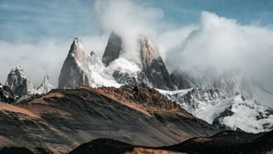 roi conversion optimization strategy