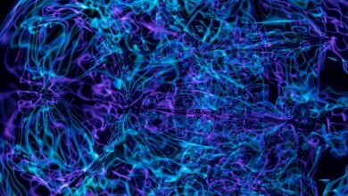 apex echo neural pulse