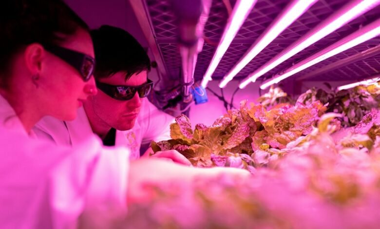 creative growth engine impact