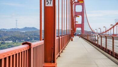 opportunity engine apex path