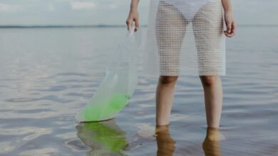 powerbridge connect executive grid